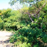 Flat in Greece, 55 sq.m.