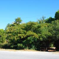 Flat in Greece, 55 sq.m.