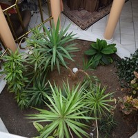 Villa in Greece, 1000 sq.m.