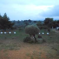 Other in Greece, 230 sq.m.