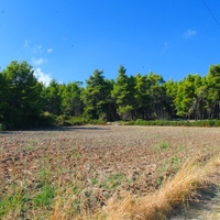 Land plot in Greece