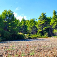 Land plot in Greece
