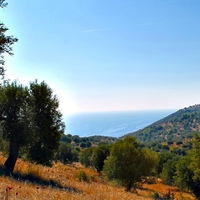 Land plot in Greece