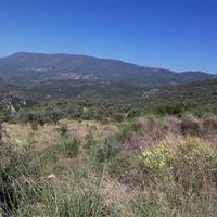 Land plot in Greece