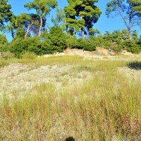 Земельный участок в Греции