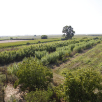 Вилла в Греции, 290 кв.м.