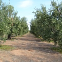 Земельный участок в Греции