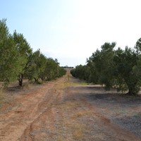 Земельный участок в Греции