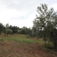 Land plot in Greece