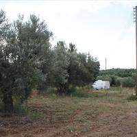 Land plot in Greece