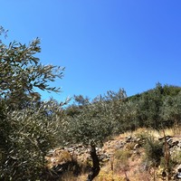 Land plot in Greece