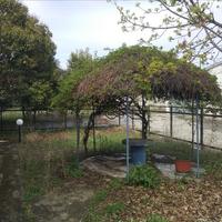 Other in Greece, 350 sq.m.