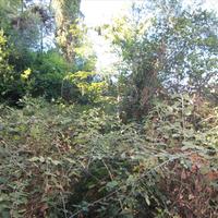 Земельный участок в Греции