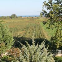 Other in Greece, 670 sq.m.