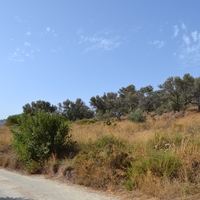 Land plot in Greece, 1057 sq.m.