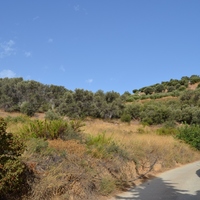 Land plot in Greece, 1057 sq.m.