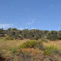 Land plot in Greece, 1057 sq.m.