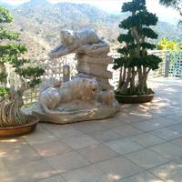 Villa in Republic of Cyprus, 450 sq.m.