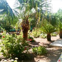 Villa in Republic of Cyprus, 450 sq.m.