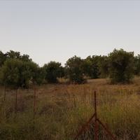 Land plot in Greece