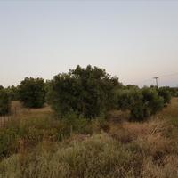 Land plot in Greece