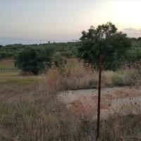 Land plot in Greece