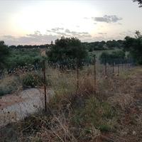 Land plot in Greece