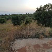 Land plot in Greece