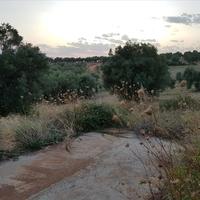 Land plot in Greece