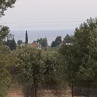 Land plot in Greece