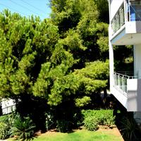 Квартира в Греции, 50 кв.м.