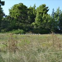 Земельный участок в Греции