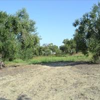 Земельный участок в Греции