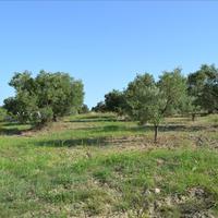 Земельный участок в Греции