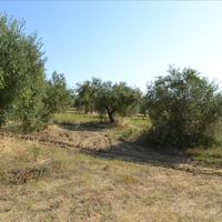 Земельный участок в Греции