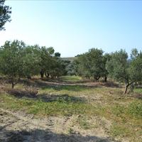 Земельный участок в Греции