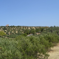 Land plot in Greece, 1430 sq.m.