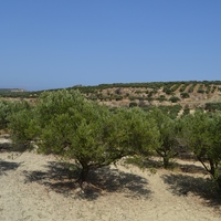 Land plot in Greece, 1430 sq.m.