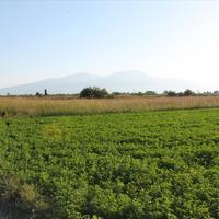 Land plot in Greece