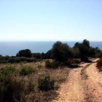 Land plot in Greece