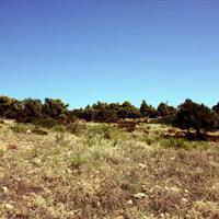 Land plot in Greece