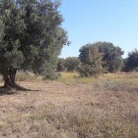 Земельный участок в Греции