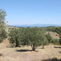 Земельный участок в Греции