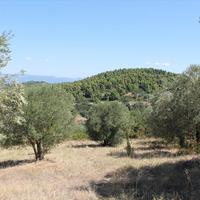 Земельный участок в Греции