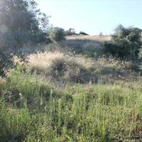 Land plot in Greece