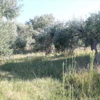 Land plot in Greece