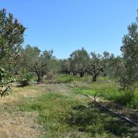 Land plot in Greece