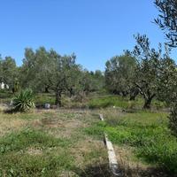 Land plot in Greece