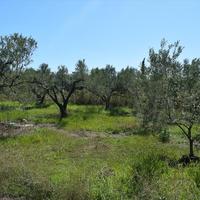 Land plot in Greece