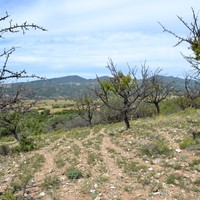 Земельный участок в Греции